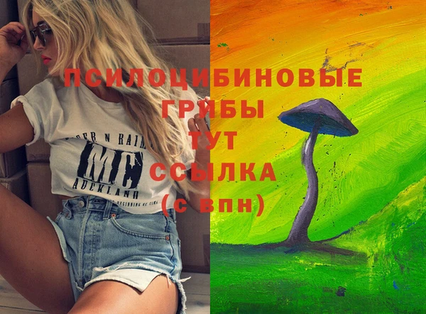 герыч Надым