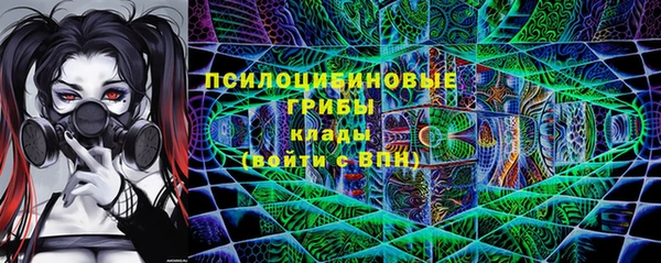 дурь Алексеевка