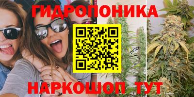 каннабис Кингисепп