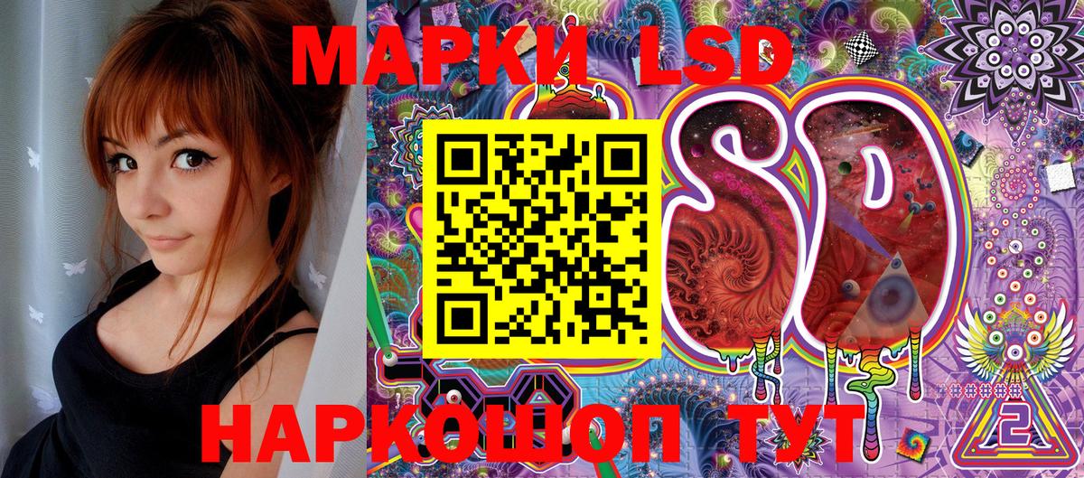 МЕФ Сыктывкар