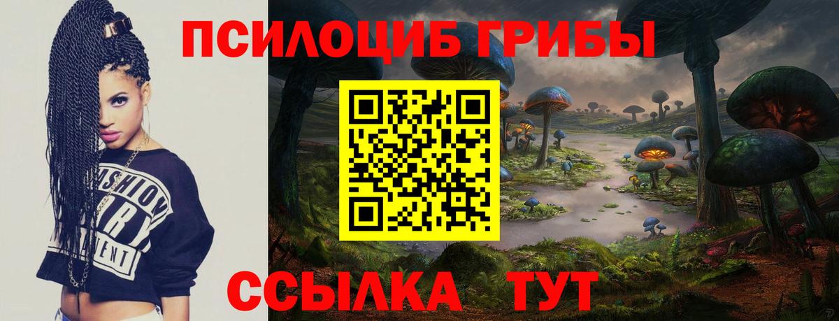 Псилоцибиновые грибы ЛСД Сыктывкар